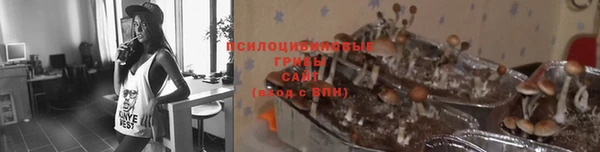 дживик Лиски