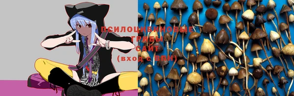 метадон Лабытнанги