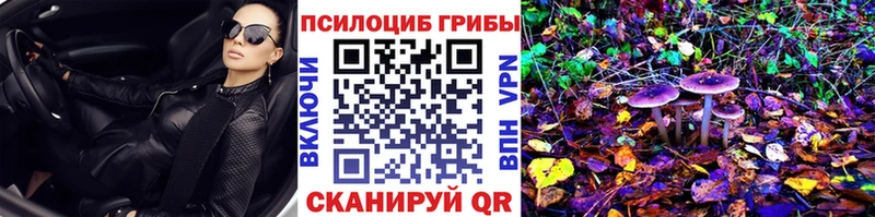 Галлюциногенные грибы прущие грибы  Купить где  Котовск 