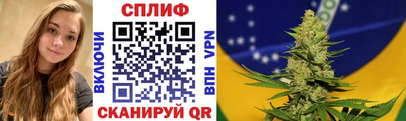 Купить где Котовск Марихуана Amnesia